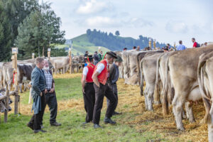 Appenzell, Appenzell Ausserrohden, Schweiz, Schwellbrunn, Sennen, Suisse, Switzerland, Tracht, Viehschau, tradition