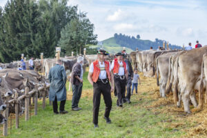 Appenzell, Appenzell Ausserrohden, Schweiz, Schwellbrunn, Sennen, Suisse, Switzerland, Tracht, Viehschau, tradition
