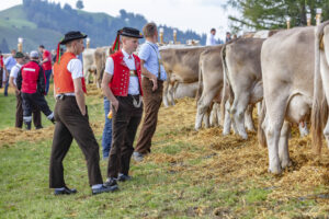 Appenzell, Appenzell Ausserrohden, Schweiz, Schwellbrunn, Sennen, Suisse, Switzerland, Tracht, Viehschau, tradition