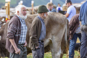 Appenzell, Appenzell Ausserrohden, Schweiz, Schwellbrunn, Sennen, Suisse, Switzerland, Tracht, Viehschau, tradition
