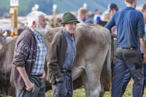 Appenzell, Appenzell Ausserrohden, Schweiz, Schwellbrunn, Sennen, Suisse, Switzerland, Tracht, Viehschau, tradition