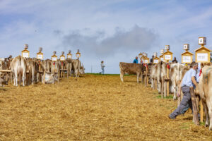 Appenzell, Appenzell Ausserrohden, Schweiz, Schwellbrunn, Sennen, Suisse, Switzerland, Tracht, Viehschau, tradition