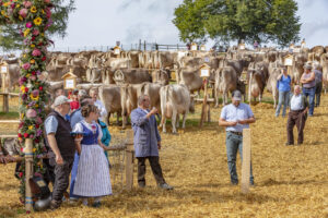 Appenzell, Appenzell Ausserrohden, Schweiz, Schwellbrunn, Sennen, Suisse, Switzerland, Tracht, Viehschau, tradition