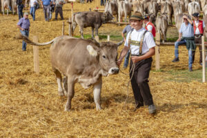 Appenzell, Appenzell Ausserrohden, Schweiz, Schwellbrunn, Sennen, Suisse, Switzerland, Tracht, Viehschau, tradition