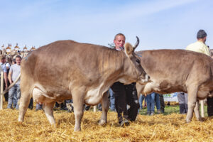 Appenzell, Appenzell Ausserrohden, Schweiz, Schwellbrunn, Sennen, Suisse, Switzerland, Tracht, Viehschau, tradition