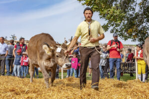 Appenzell, Appenzell Ausserrohden, Schweiz, Schwellbrunn, Sennen, Suisse, Switzerland, Tracht, Viehschau, tradition