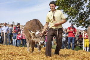 Appenzell, Appenzell Ausserrohden, Schweiz, Schwellbrunn, Sennen, Suisse, Switzerland, Tracht, Viehschau, tradition