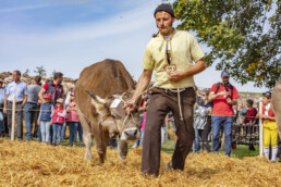 Appenzell, Appenzell Ausserrohden, Schweiz, Schwellbrunn, Sennen, Suisse, Switzerland, Tracht, Viehschau, tradition