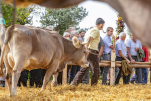 Appenzell, Appenzell Ausserrohden, Schweiz, Schwellbrunn, Sennen, Suisse, Switzerland, Tracht, Viehschau, tradition
