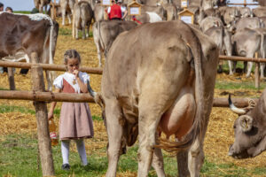 Appenzell, Appenzell Ausserrohden, Schweiz, Schwellbrunn, Sennen, Suisse, Switzerland, Tracht, Viehschau, tradition