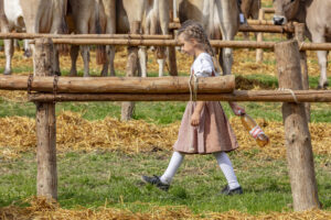 Appenzell, Appenzell Ausserrohden, Schweiz, Schwellbrunn, Sennen, Suisse, Switzerland, Tracht, Viehschau, tradition