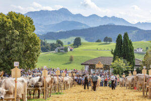 Appenzell, Appenzell Ausserrohden, Schweiz, Schwellbrunn, Sennen, Suisse, Switzerland, Tracht, Viehschau, tradition