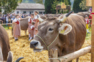 Appenzell, Appenzell Ausserrohden, Schweiz, Schwellbrunn, Sennen, Suisse, Switzerland, Tracht, Viehschau, tradition