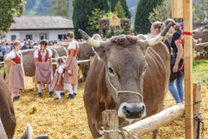 Appenzell, Appenzell Ausserrohden, Schweiz, Schwellbrunn, Sennen, Suisse, Switzerland, Tracht, Viehschau, tradition