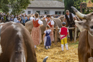 Appenzell, Appenzell Ausserrohden, Schweiz, Schwellbrunn, Sennen, Suisse, Switzerland, Tracht, Viehschau, tradition