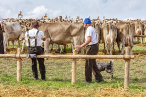 Appenzell, Appenzell Ausserrohden, Schweiz, Schwellbrunn, Sennen, Suisse, Switzerland, Tracht, Viehschau, tradition