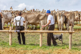Appenzell, Appenzell Ausserrohden, Schweiz, Schwellbrunn, Sennen, Suisse, Switzerland, Tracht, Viehschau, tradition