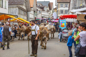 Appenzell, Appenzell Ausserrohden, Schweiz, Schwellbrunn, Sennen, Suisse, Switzerland, Tracht, Viehschau, tradition