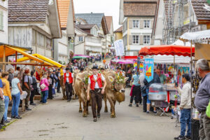 Appenzell, Appenzell Ausserrohden, Schweiz, Schwellbrunn, Sennen, Suisse, Switzerland, Tracht, Viehschau, tradition