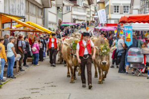 Appenzell, Appenzell Ausserrohden, Schweiz, Schwellbrunn, Sennen, Suisse, Switzerland, Tracht, Viehschau, tradition