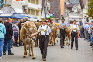 Appenzell, Appenzell Ausserrohden, Schweiz, Schwellbrunn, Sennen, Suisse, Switzerland, Tracht, Viehschau, tradition