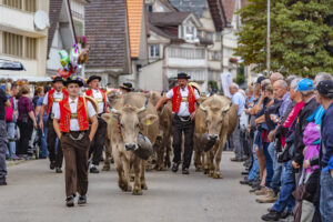 Appenzell, Appenzell Ausserrohden, Schweiz, Schwellbrunn, Sennen, Suisse, Switzerland, Tracht, Viehschau, tradition