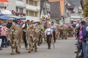 Appenzell, Appenzell Ausserrohden, Schweiz, Schwellbrunn, Sennen, Suisse, Switzerland, Tracht, Viehschau, tradition