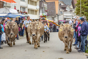 Appenzell, Appenzell Ausserrohden, Schweiz, Schwellbrunn, Sennen, Suisse, Switzerland, Tracht, Viehschau, tradition