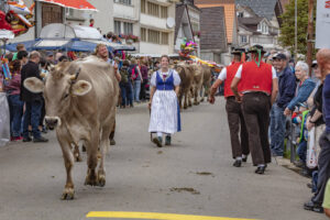 Appenzell, Appenzell Ausserrohden, Schweiz, Schwellbrunn, Sennen, Suisse, Switzerland, Tracht, Viehschau, tradition