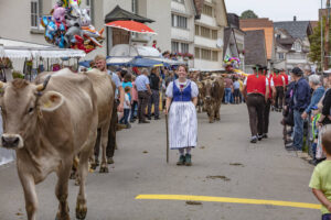 Appenzell, Appenzell Ausserrohden, Schweiz, Schwellbrunn, Sennen, Suisse, Switzerland, Tracht, Viehschau, tradition