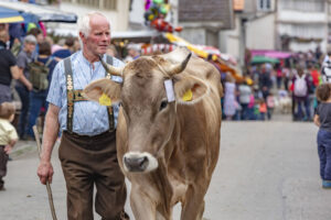 Appenzell, Appenzell Ausserrohden, Schweiz, Schwellbrunn, Sennen, Suisse, Switzerland, Tracht, Viehschau, tradition