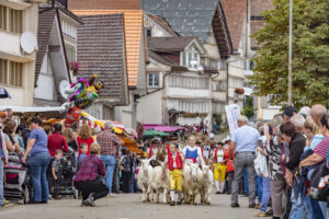 Appenzell, Appenzell Ausserrohden, Schweiz, Schwellbrunn, Sennen, Suisse, Switzerland, Tracht, Viehschau, tradition