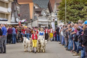 Appenzell, Appenzell Ausserrohden, Schweiz, Schwellbrunn, Sennen, Suisse, Switzerland, Tracht, Viehschau, tradition