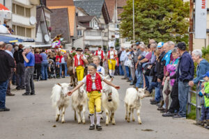 Appenzell, Appenzell Ausserrohden, Schweiz, Schwellbrunn, Sennen, Suisse, Switzerland, Tracht, Viehschau, tradition
