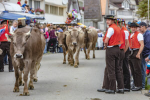 Appenzell, Appenzell Ausserrohden, Schweiz, Schwellbrunn, Sennen, Suisse, Switzerland, Tracht, Viehschau, tradition