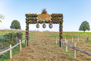 Appenzell, Appenzell Ausserrohden, Schweiz, Schwellbrunn, Sennen, Suisse, Switzerland, Tracht, Viehschau, tradition