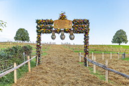 Appenzell, Appenzell Ausserrohden, Schweiz, Schwellbrunn, Sennen, Suisse, Switzerland, Tracht, Viehschau, tradition