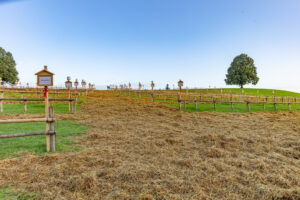 Appenzell, Appenzell Ausserrohden, Schweiz, Schwellbrunn, Sennen, Suisse, Switzerland, Tracht, Viehschau, tradition