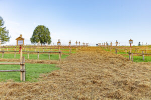 Appenzell, Appenzell Ausserrohden, Schweiz, Schwellbrunn, Sennen, Suisse, Switzerland, Tracht, Viehschau, tradition