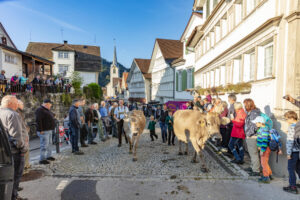 Appenzell, Appenzell Ausserrohden, Schweiz, Schwellbrunn, Sennen, Suisse, Switzerland, Tracht, Viehschau, tradition