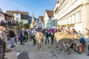 Appenzell, Appenzell Ausserrohden, Schweiz, Schwellbrunn, Sennen, Suisse, Switzerland, Tracht, Viehschau, tradition