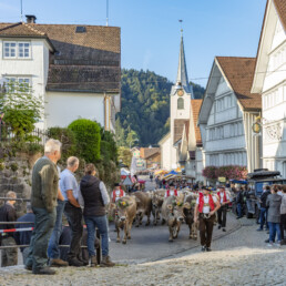Appenzell, Appenzell Ausserrohden, Schweiz, Schwellbrunn, Sennen, Suisse, Switzerland, Tracht, Viehschau, tradition