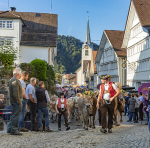 Appenzell, Appenzell Ausserrohden, Schweiz, Schwellbrunn, Sennen, Suisse, Switzerland, Tracht, Viehschau, tradition