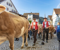 Appenzell, Appenzell Ausserrohden, Schweiz, Schwellbrunn, Sennen, Suisse, Switzerland, Tracht, Viehschau, tradition