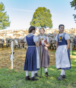 Appenzell, Appenzell Ausserrohden, Schweiz, Schwellbrunn, Sennen, Suisse, Switzerland, Tracht, Viehschau, tradition