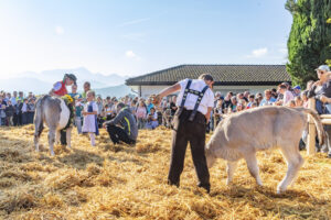 Appenzell, Appenzell Ausserrohden, Schweiz, Schwellbrunn, Sennen, Suisse, Switzerland, Tracht, Viehschau, tradition