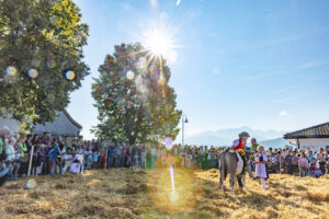 Appenzell, Appenzell Ausserrohden, Schweiz, Schwellbrunn, Sennen, Suisse, Switzerland, Tracht, Viehschau, tradition