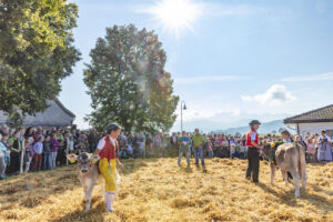 Appenzell, Appenzell Ausserrohden, Schweiz, Schwellbrunn, Sennen, Suisse, Switzerland, Tracht, Viehschau, tradition