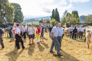 Appenzell, Appenzell Ausserrohden, Schweiz, Schwellbrunn, Sennen, Suisse, Switzerland, Tracht, Viehschau, tradition