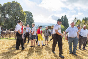 Appenzell, Appenzell Ausserrohden, Schweiz, Schwellbrunn, Sennen, Suisse, Switzerland, Tracht, Viehschau, tradition